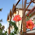 Landhotel-gasthof Gruener Baum מלון 3*