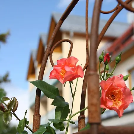Landhotel-gasthof Gruener Baum Hotel 3*