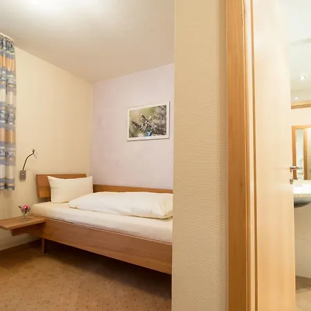 Hotel Landhotel-gasthof Gruener Baum 3*