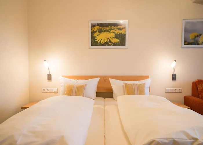 Landhotel-gasthof Gruener Baum Hotel