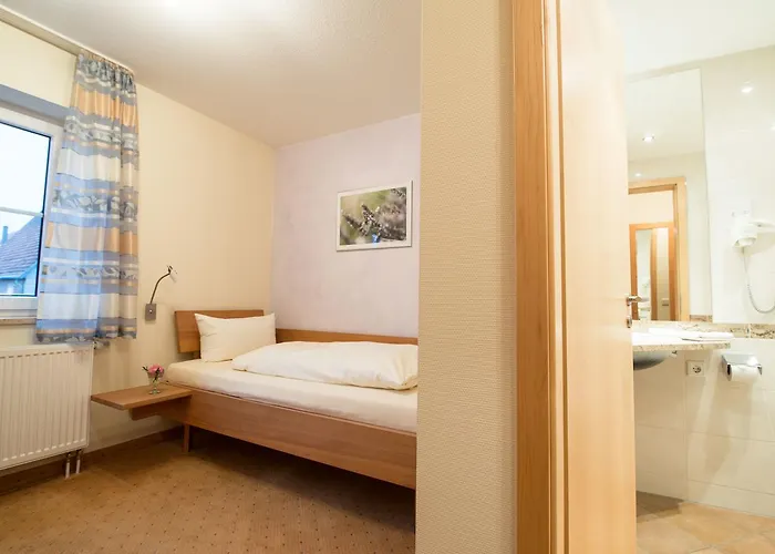 Hotel Landhotel-gasthof Gruener Baum 3*