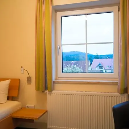 Landhotel-gasthof Gruener Baum 3*