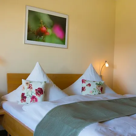 Landhotel-gasthof Gruener Baum 헤르스브루크