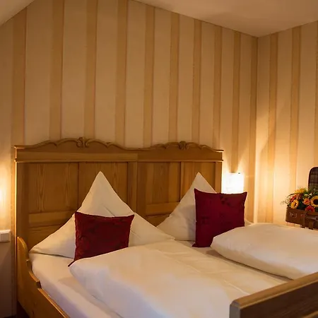 Landhotel-gasthof Gruener Baum Hotel 3*