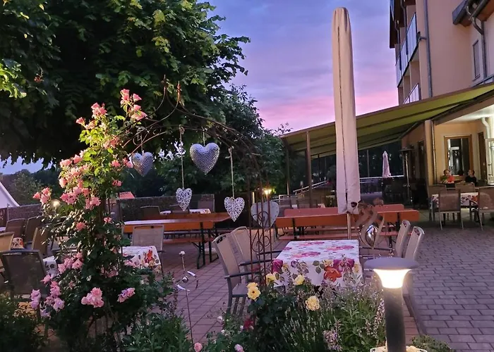 Landhotel-gasthof Gruener Baum Hotel 3*